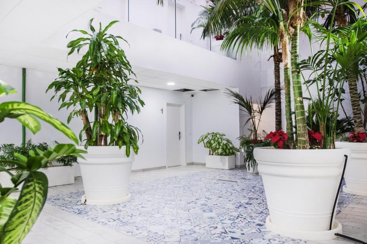 Coccoloba Suites كوراليهو المظهر الخارجي الصورة