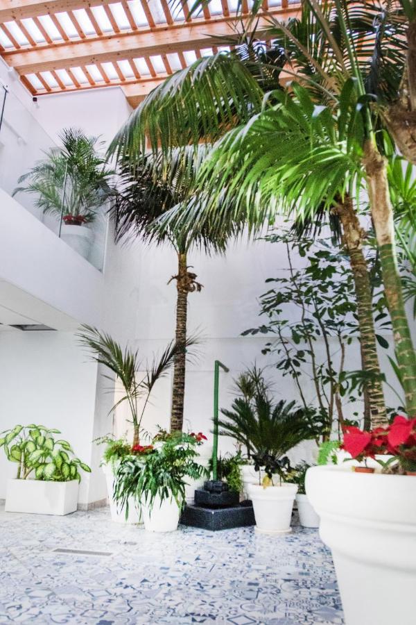 Coccoloba Suites كوراليهو المظهر الخارجي الصورة